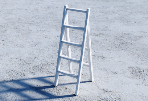 Illustration of engagement ladders connecting supporters to meaningful actions